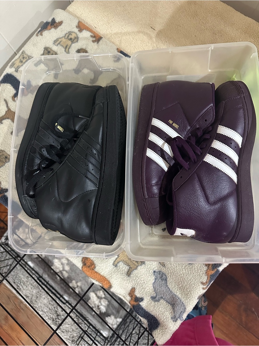CLOSET CLOSING BIG KIDS PRO MODEL SHELLTOE BUNDLE